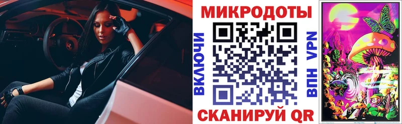 Галлюциногенные грибы Psilocybine cubensis где можно купить Губаха